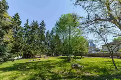 Family Room Photo of 13003 Old Yale Road, Surrey, BC