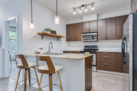 118 2477 Kelly Avenue, Port Coquitlam, BC