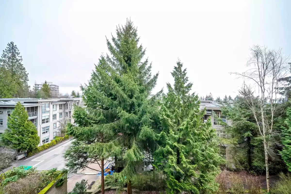 Basement Recreation Room Photo of 312 9329 University, Burnaby, BC