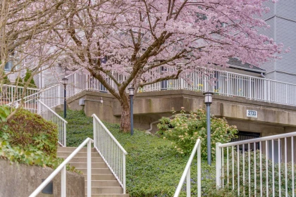 Swimming Pool Photo of 203 2733 Atlin Place, Coquitlam, BC