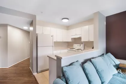 Pantry Photo of 321 225 Newport Drive, Port Moody, BC