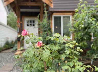 45276 Creekside Drive, Chilliwack, BC, Chilliwack — Single Family Residence for sale