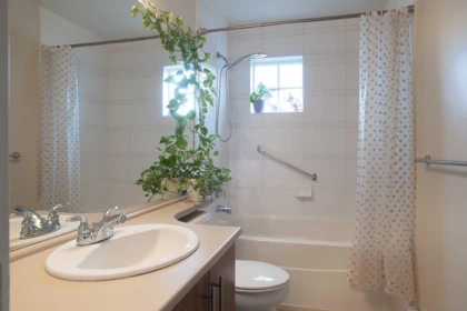 Hallway Photo of 98 20038 70 Avenue, Langley, BC