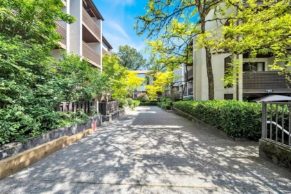 Backyard Photo of 2 365 Ginger Drive, New Westminster, BC