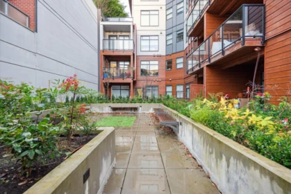 Backyard Photo of 207 232 Sixth Street, New Westminster, BC