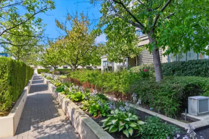 Backyard Photo of 1108 9133 Hemlock Drive, Richmond, BC