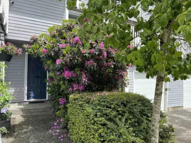 8189 Forest Grove Drive, Burnaby, BC, Burnaby — Townhouse for sale
