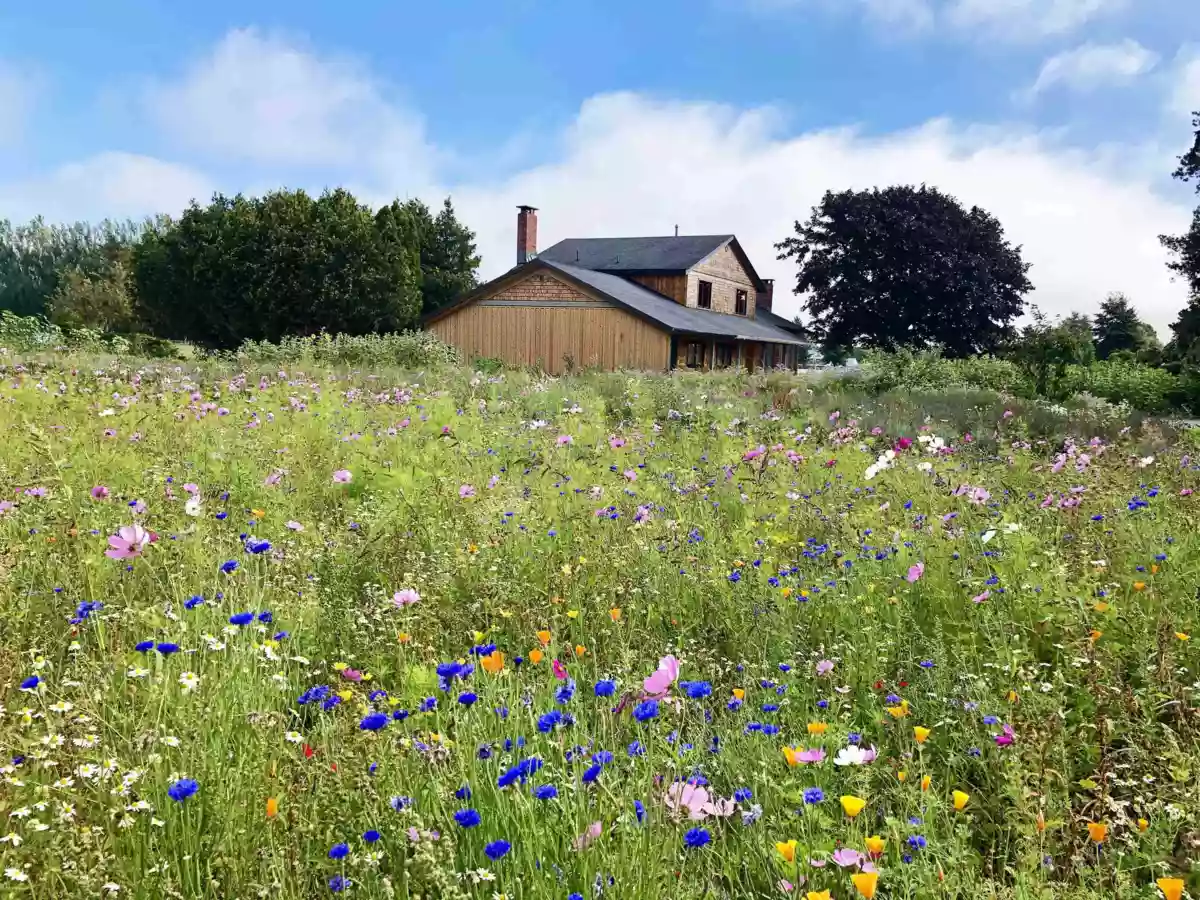 Outdoor Deck Photo of 5465 34b Avenue, Ladner, BC