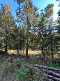 LOT 4 13685 Lee Road, Garden Bay, BC, Garden Bay — Land for sale