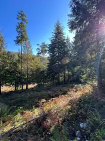 LOT 4 13685 Lee Road, Garden Bay, BC, Pender Harbour Egmont —  bed land for sale