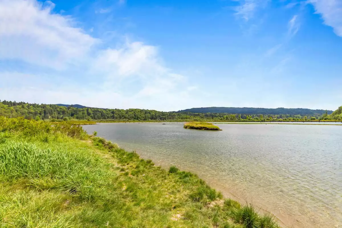 Backyard Photo of 76 10221 Wilson Street, Mission, BC