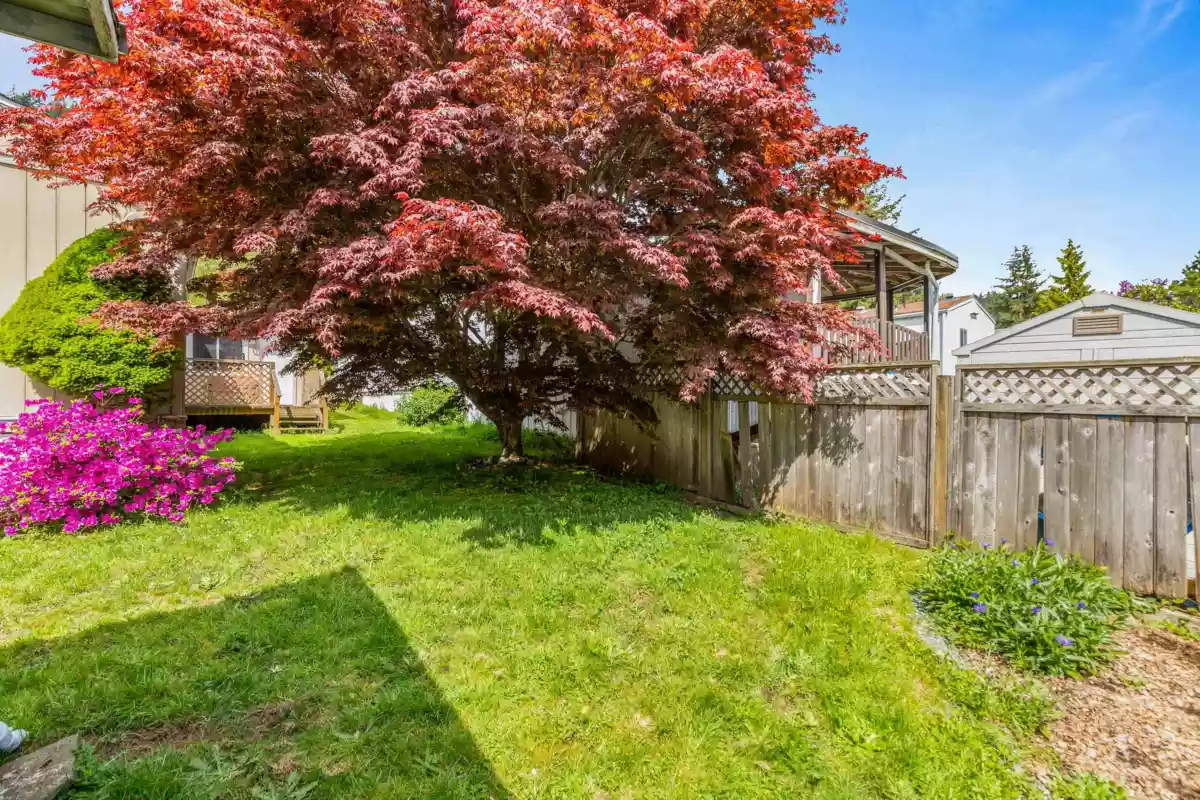 Breakfast Nook Photo of 76 10221 Wilson Street, Mission, BC