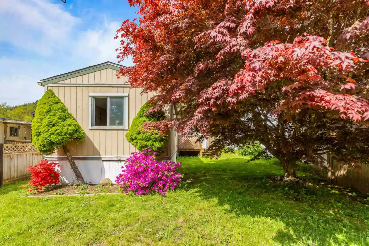 Dining Area Photo of 76 10221 Wilson Street, Mission, BC