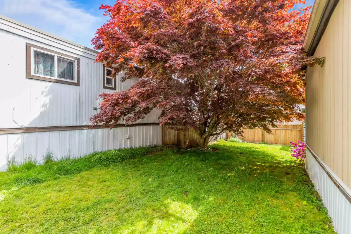 Kitchen Island Photo of 76 10221 Wilson Street, Mission, BC