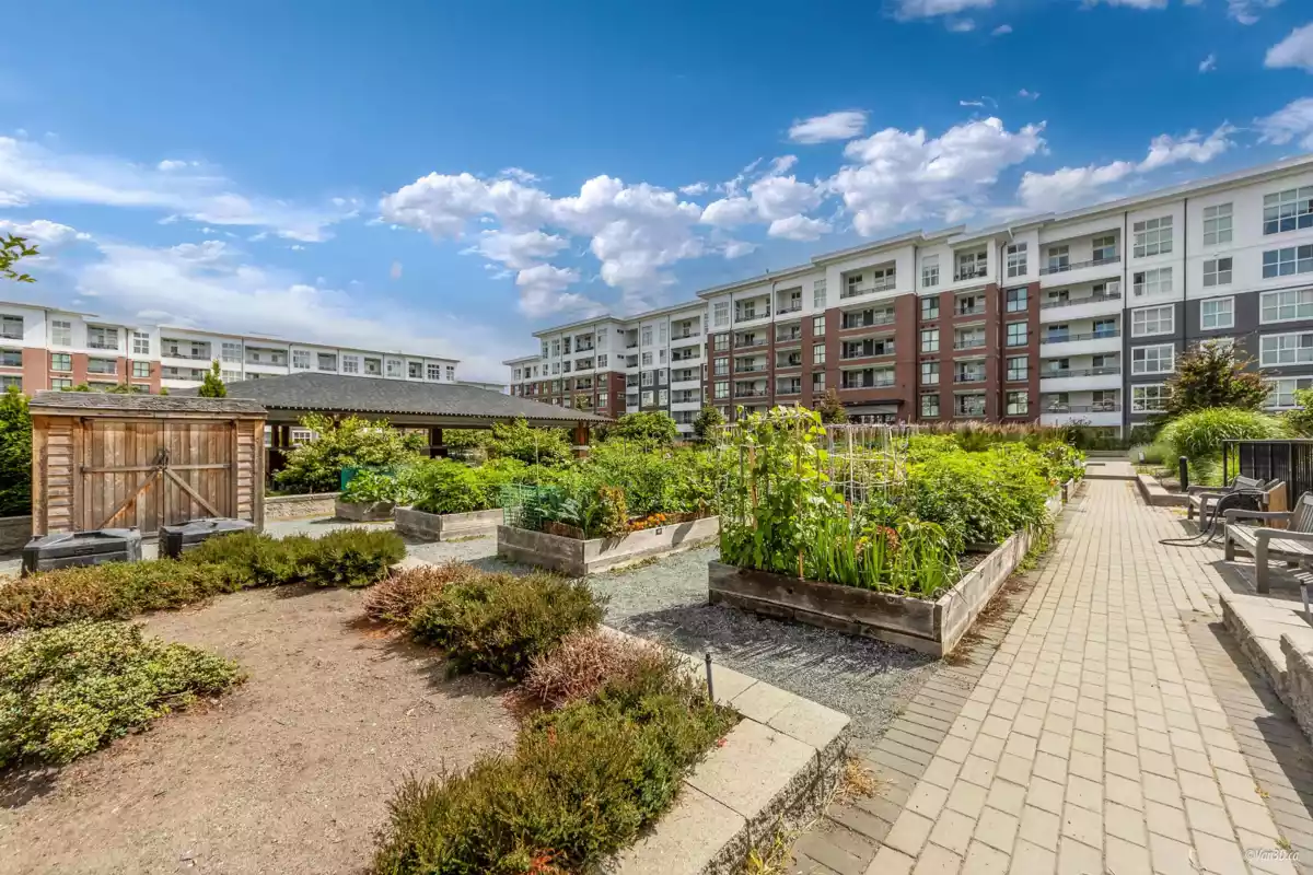 Garden / Landscaping Photo of C408 8150 207 Street, Langley, BC