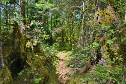 Fitness Center Photo Near DL 6692 West Lake, Nelson Island, BC