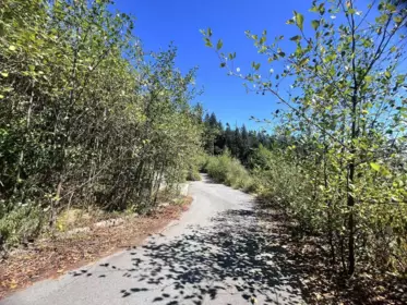 4140 Cypress Bowl Road, West Vancouver, BC