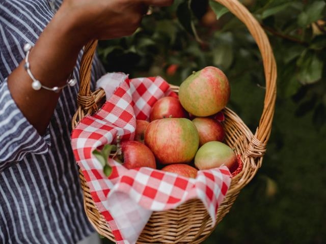 Playground / Recreational Area Near 43390 Creekside Circle, Lindell Beach, BC
