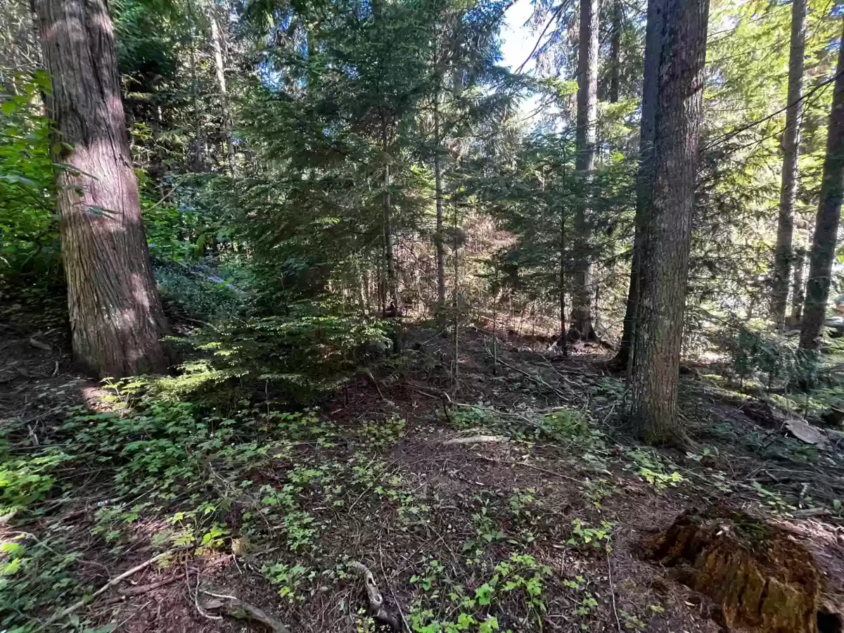 Kitchen Island Photo of 14902 Parkwood Street, Sunshine Valley, BC