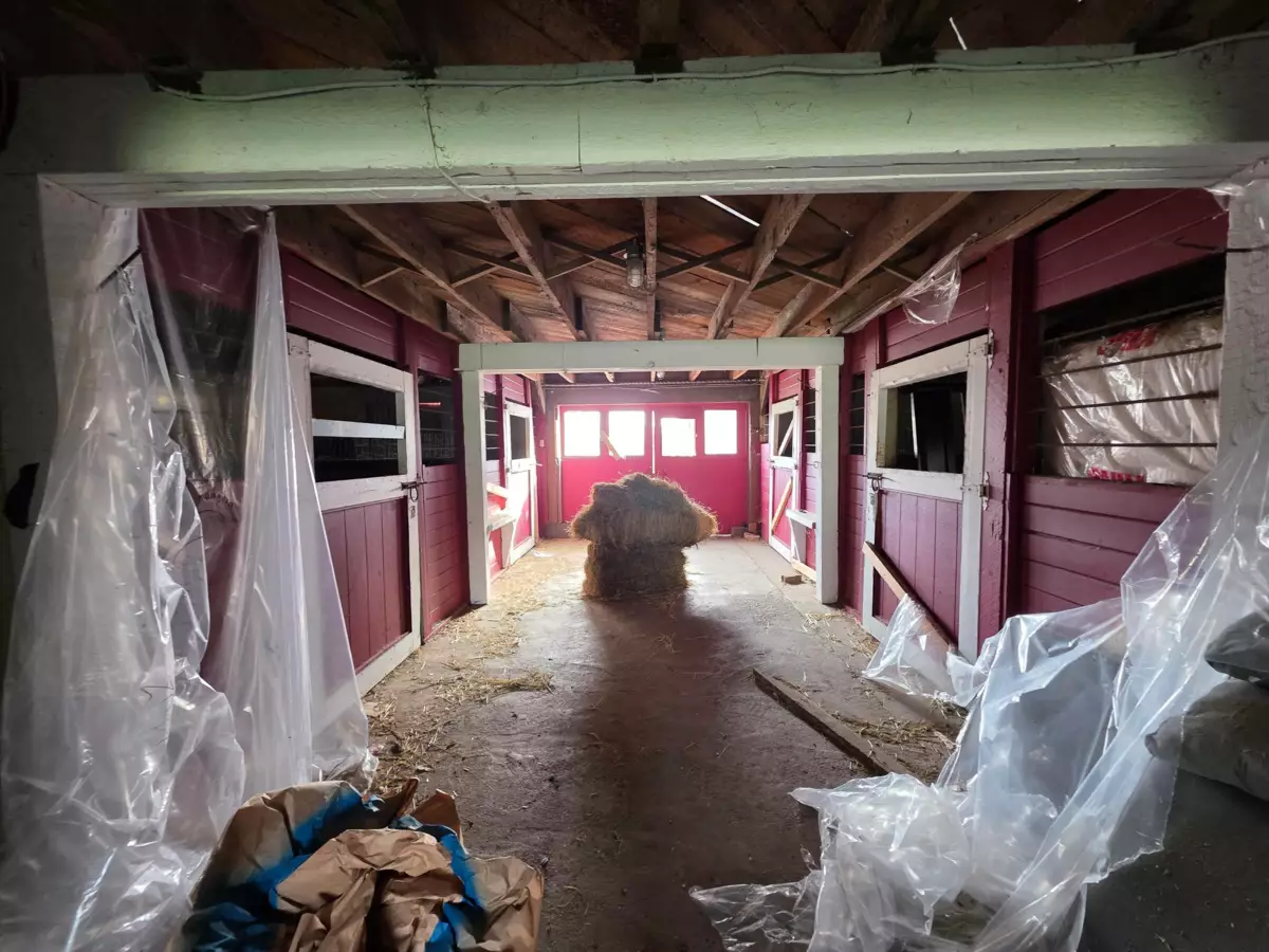 Kitchen Photo of 21068 16th Avenue, Langley, BC