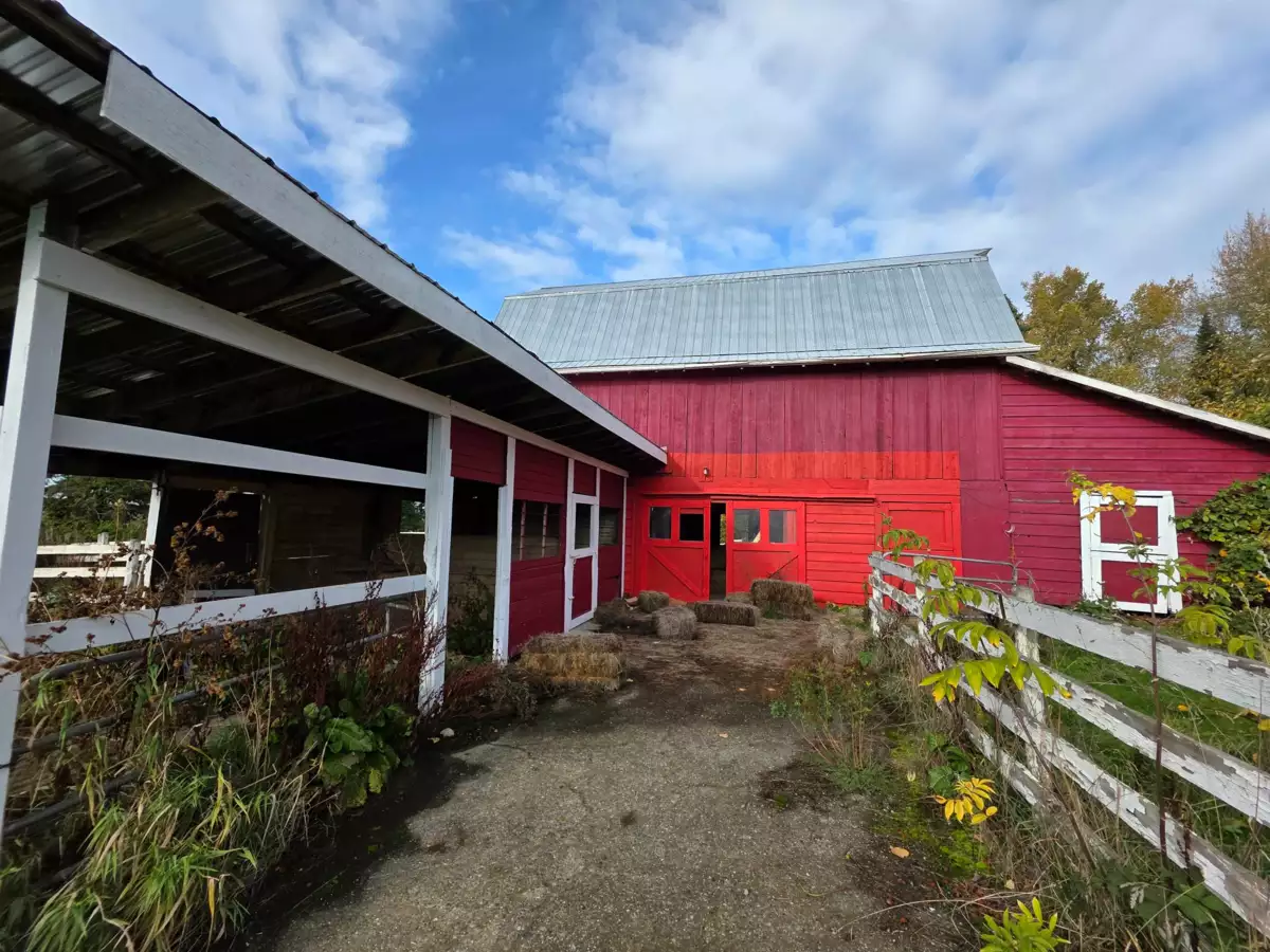 Pantry Photo of 21068 16th Avenue, Langley, BC