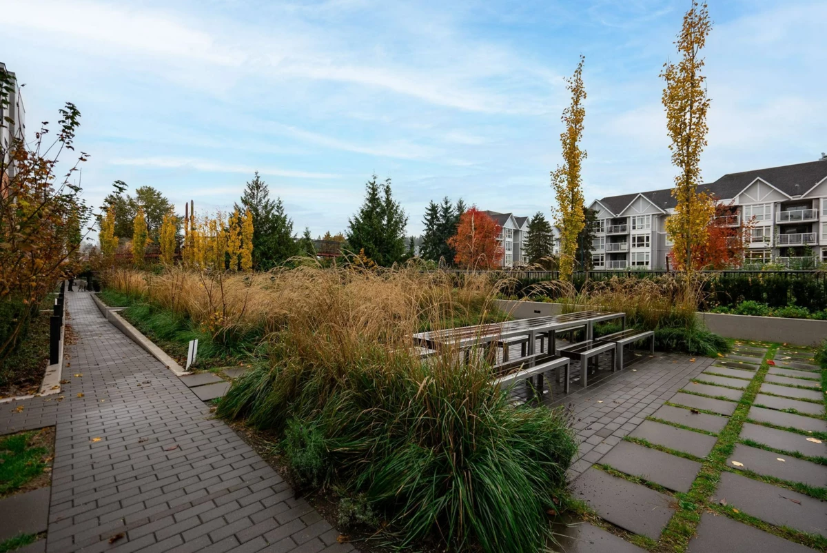 Staircase Photo of 205 55 Klahanie Drive, Port Moody, BC