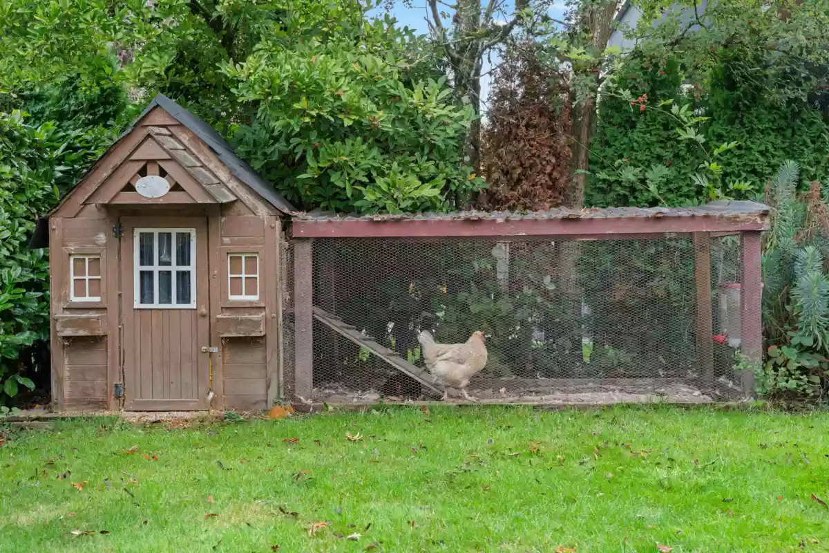 Neighborhood Park Photo Near 2138 W 21st Avenue, Vancouver, BC