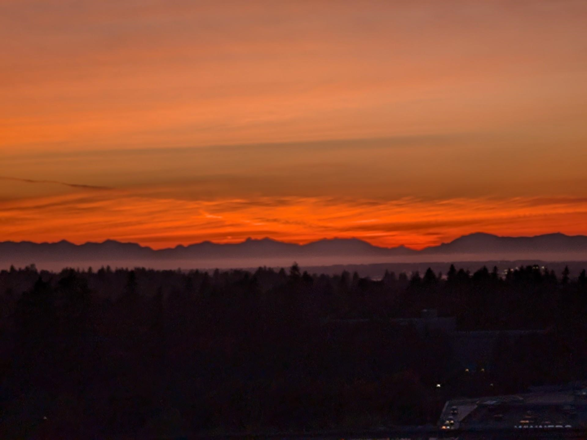 Backyard Photo of 1702 13880 101 Avenue, Surrey, BC