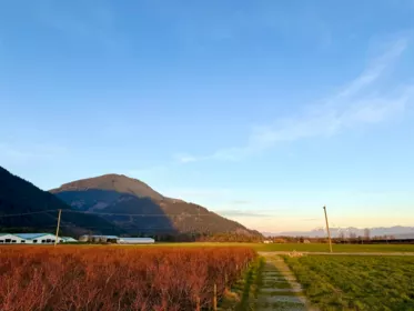 9445 Catherwood Road, Mission, BC, Dewdney Deroche —  bed land for sale