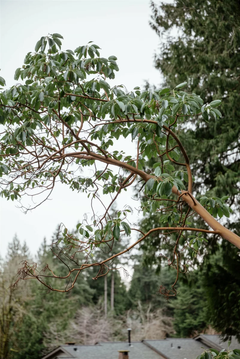 Exterior Rear Photo of 4639 Caulfeild Drive, West Vancouver, BC