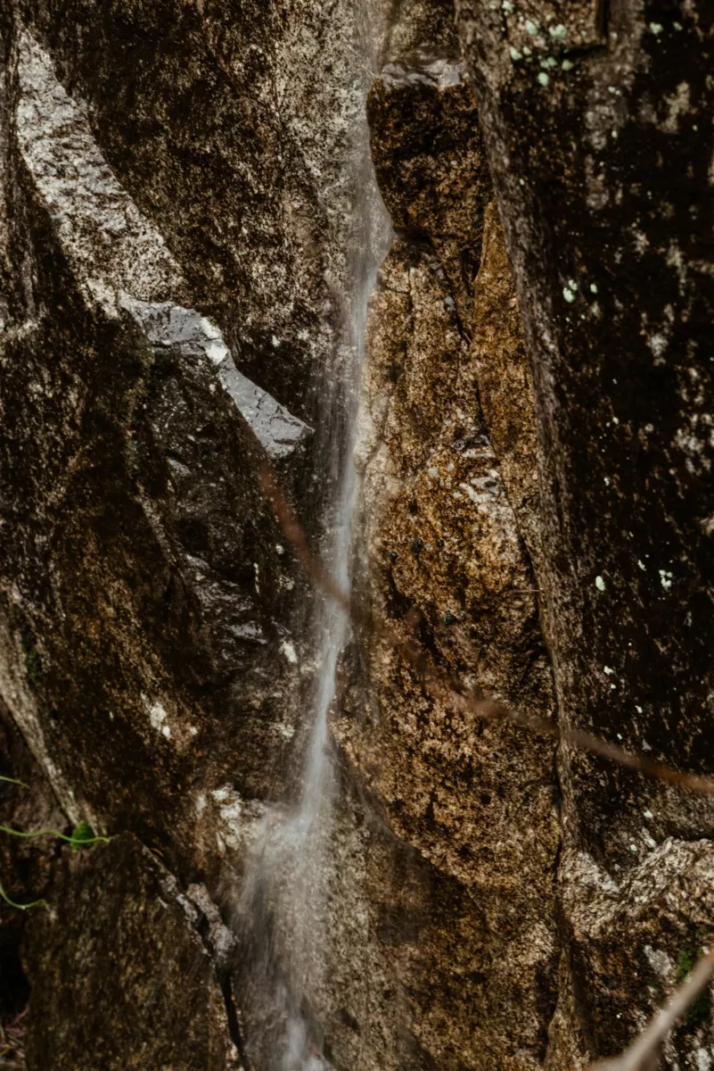 Swimming Pool Photo of 4639 Caulfeild Drive, West Vancouver, BC