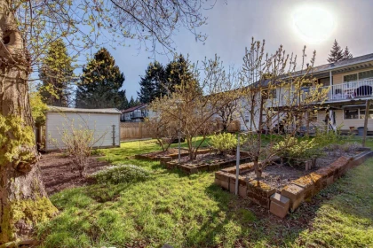 Backyard Photo of 10842 144a Street, Surrey, BC