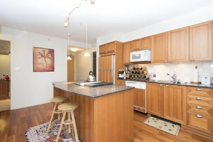 Kitchen Photo of 307 1723 Alberni Street, Vancouver, BC