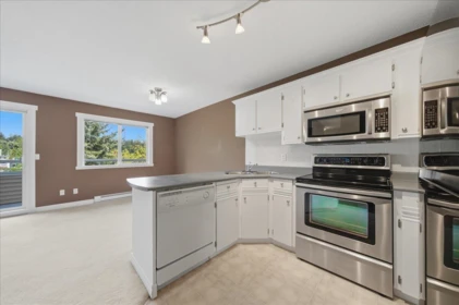 411 450 Bromley Street, Coquitlam, BC, Coquitlam — Apartment/Condo for sale