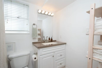 Aerial View of 3385 Ontario Street, Vancouver, BC