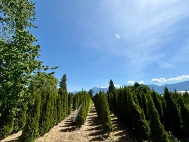 Front Yard Photo of 10555 Reeves Road, Chilliwack, BC