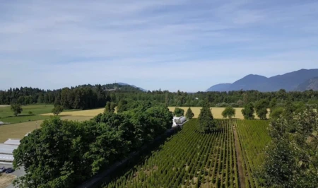 Garden / Landscaping Photo of 10555 Reeves Road, Chilliwack, BC