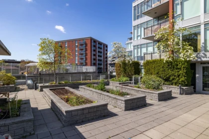 Outdoor Deck Photo of 501 2321 Scotia Street, Vancouver, BC