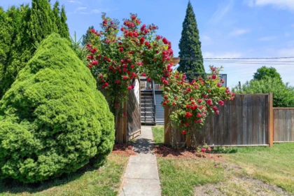 Outdoor Kitchen Photo of 803 Calverhall Street, North Vancouver, BC