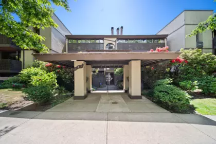 Basement Recreation Room Photo of 304 141 W 13th Street, North Vancouver, BC
