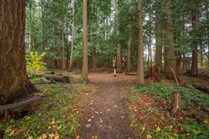 Fitness Center Photo Near 98 2533 152 Street, Surrey, BC