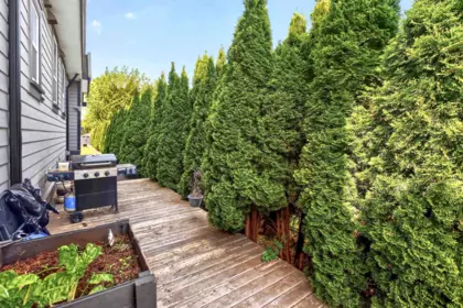 Aerial View of 21833 51 Avenue, Langley, BC