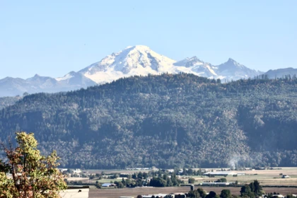 Neighborhood Park Photo Near 35807 Sunridge Place, Abbotsford, BC