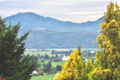 Playground / Recreational Area Near 35807 Sunridge Place, Abbotsford, BC