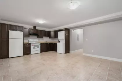 Basement Recreation Room Photo of 1415 Nanaimo Street, New Westminster, BC