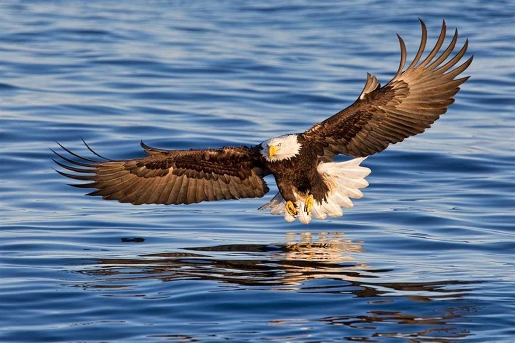 Basement Recreation Room Photo of 6014 Silverstone Lane, Sechelt, BC