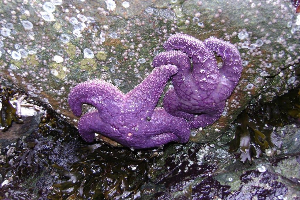 Hallway Photo of 6014 Silverstone Lane, Sechelt, BC