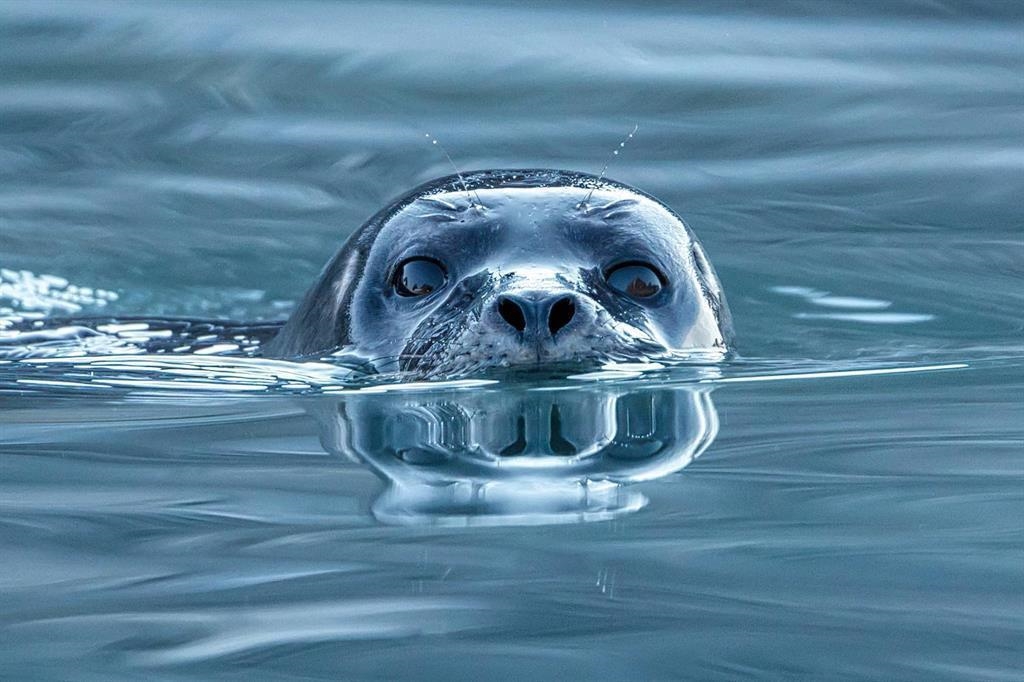 Laundry Room Photo of 6014 Silverstone Lane, Sechelt, BC