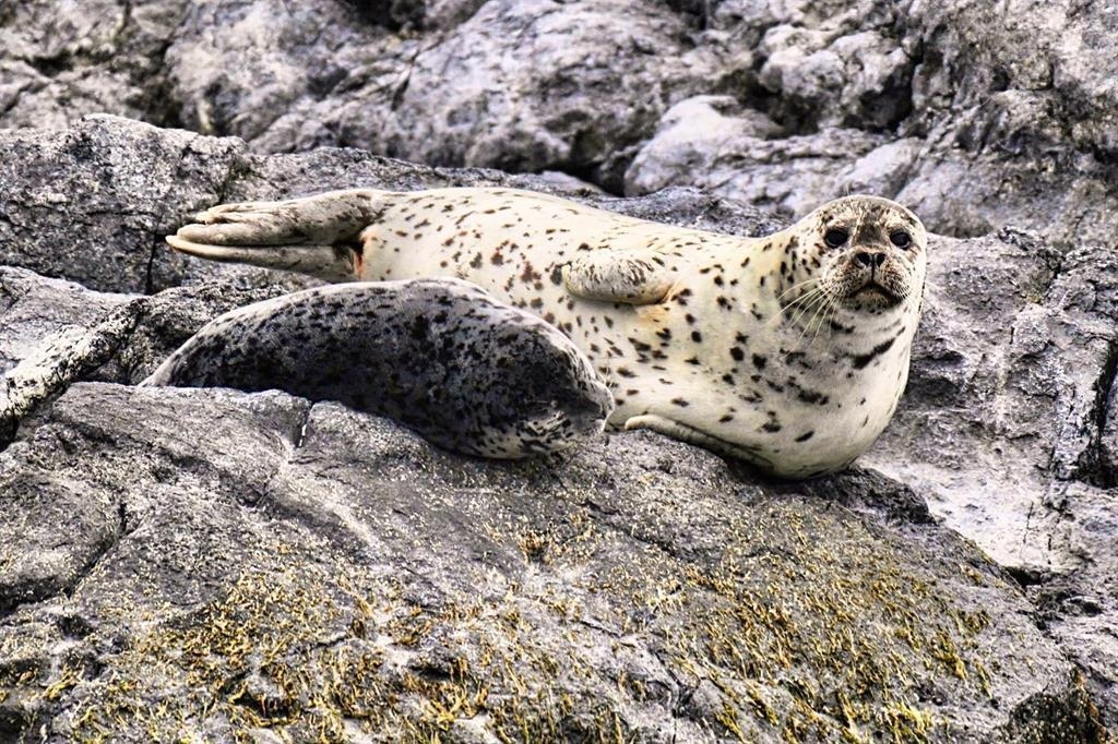 Mudroom Photo of 6014 Silverstone Lane, Sechelt, BC