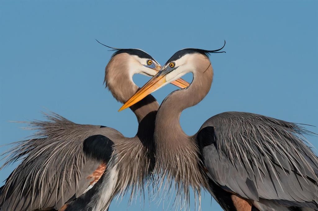 Staircase Photo of 6014 Silverstone Lane, Sechelt, BC